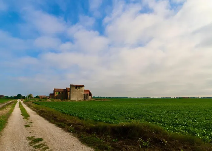 Charming With A Lovely Patio *